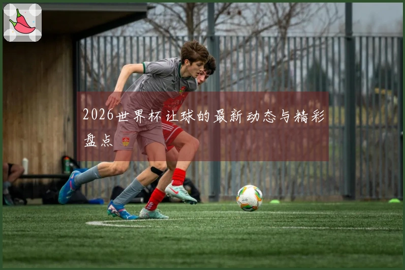 2026世界杯让球的最新动态与精彩盘点