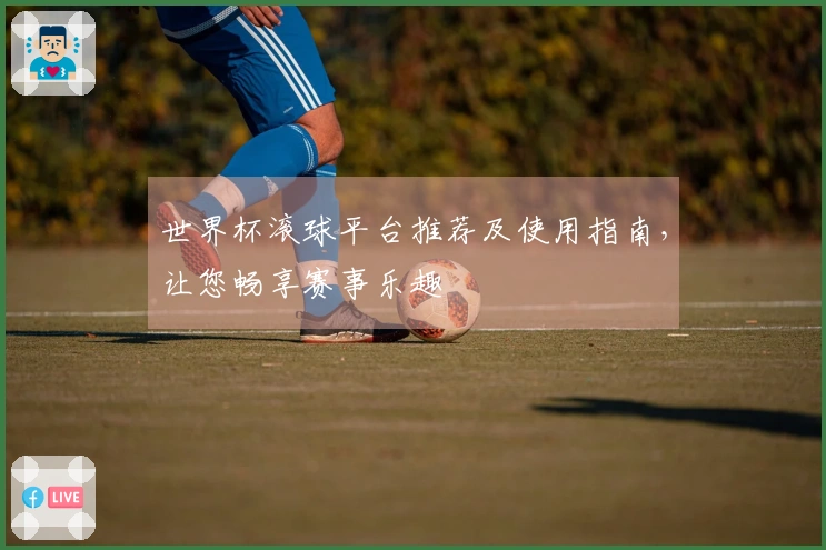 世界杯滚球平台推荐及使用指南，让您畅享赛事乐趣