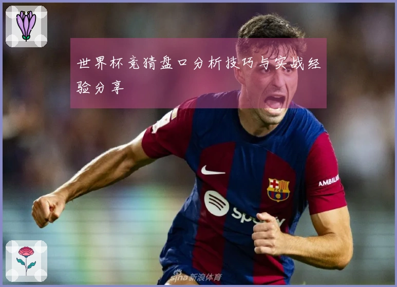世界杯竞猜盘口分析技巧与实战经验分享